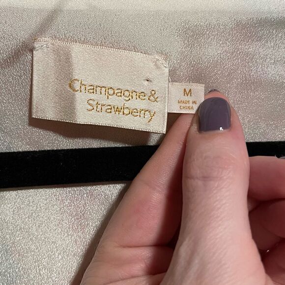 Anthropologie-{Champagne & Strawberry}- Shimmer Rose Button Down Lace Trim Dress - Picture 3 of 9